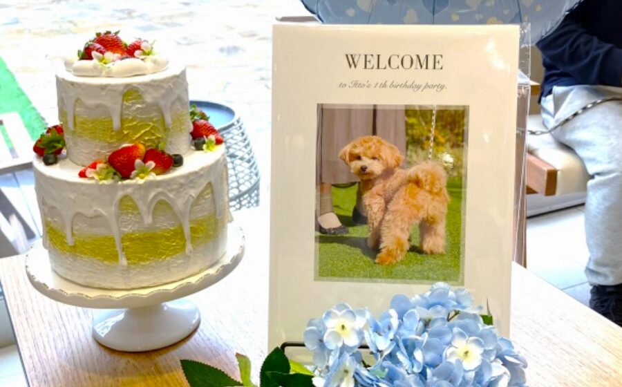 誕生日プランのイメージ画像