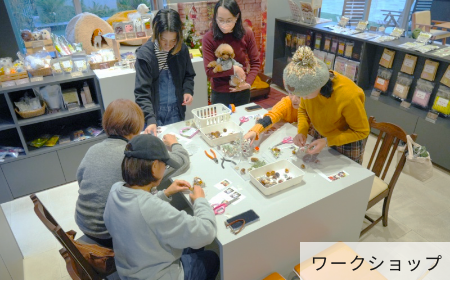 プランBのイメージ画像